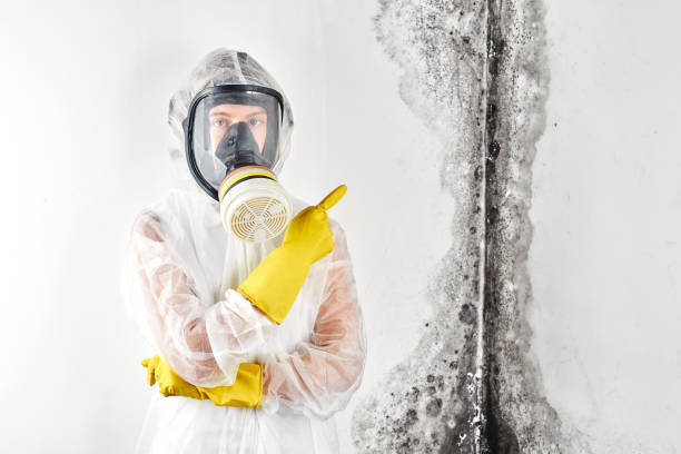 Best Forensic Mold Investigation in Grandview, TX